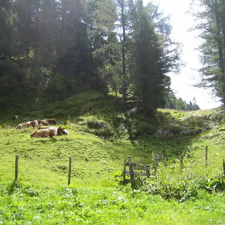 Apartamento Haus Elisabeth Obertauern