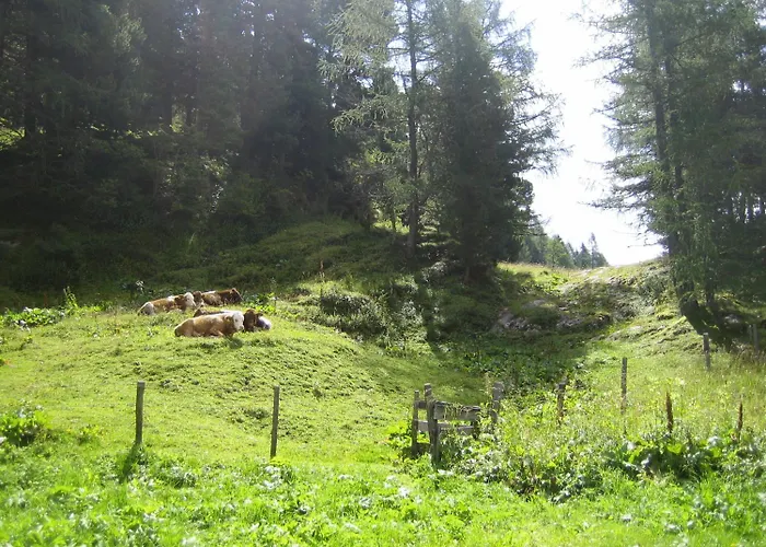 Apartment Haus Elisabeth Obertauern