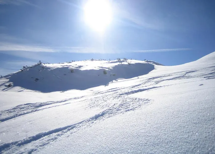 アパート Haus Elisabeth オーバータウエルン